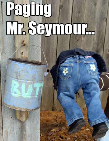 Paging Mr. Seymour Butts